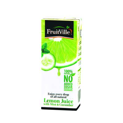 Fruitville Lemon Juice With Mint & Cucumber 250ml (Tetra)